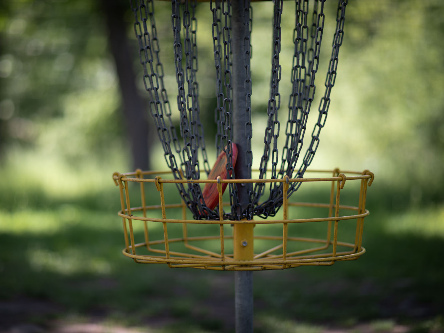 En frisbee ligger i ett golfmål