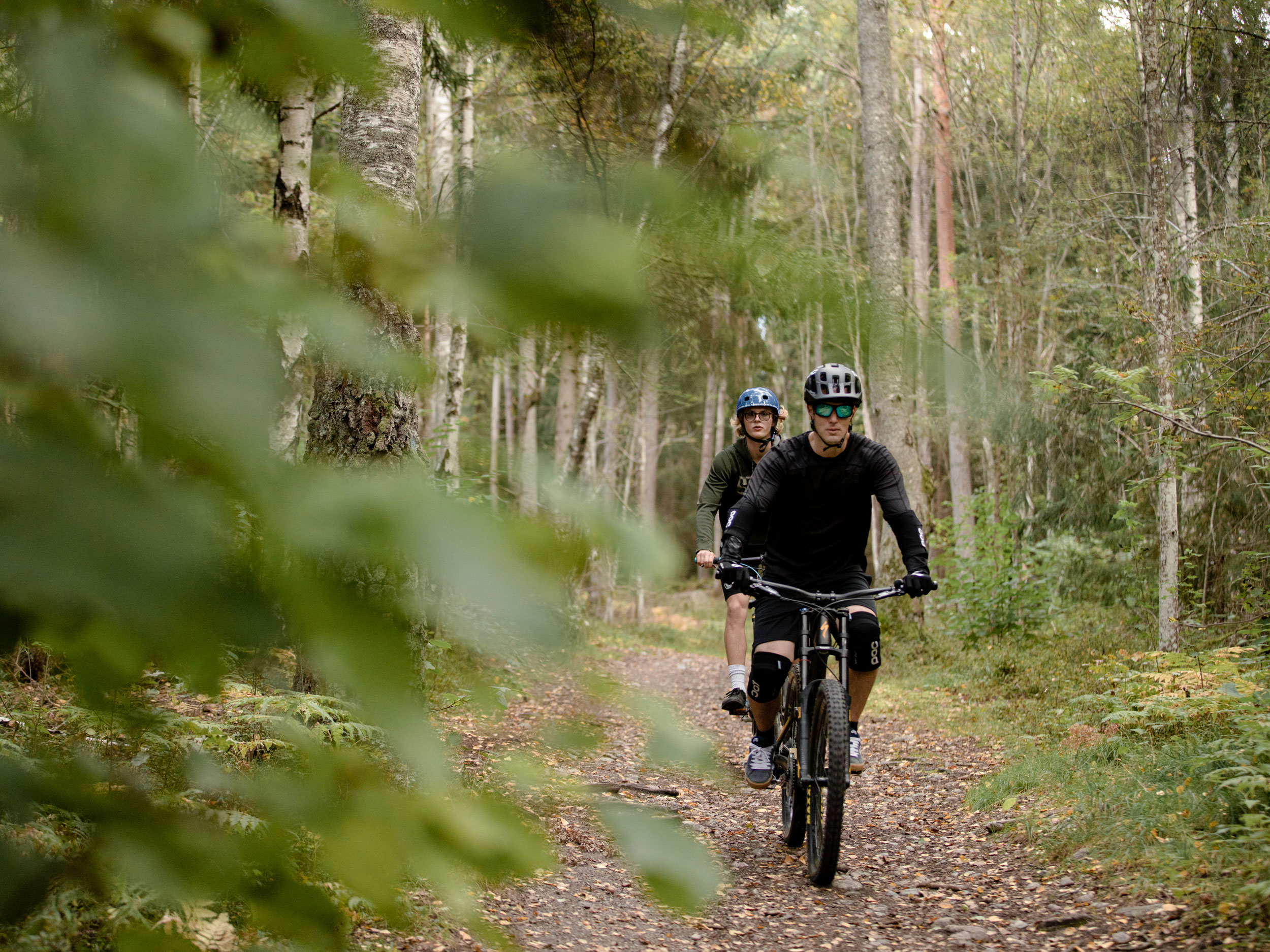 Två män cyklar i en nedförsbacke genom en skog.