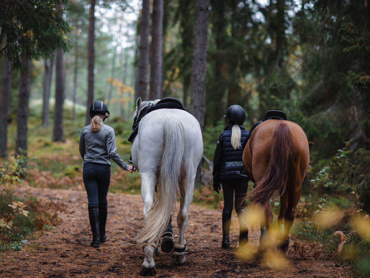 Två flickor leder sina hästar i skogen