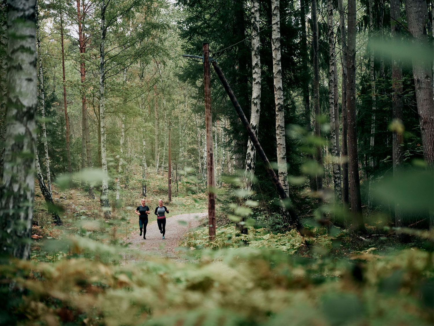 Två kvinnor joggar i skogen.