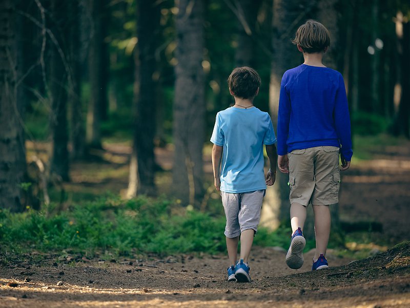 Två pojkar går på en stig i skogen