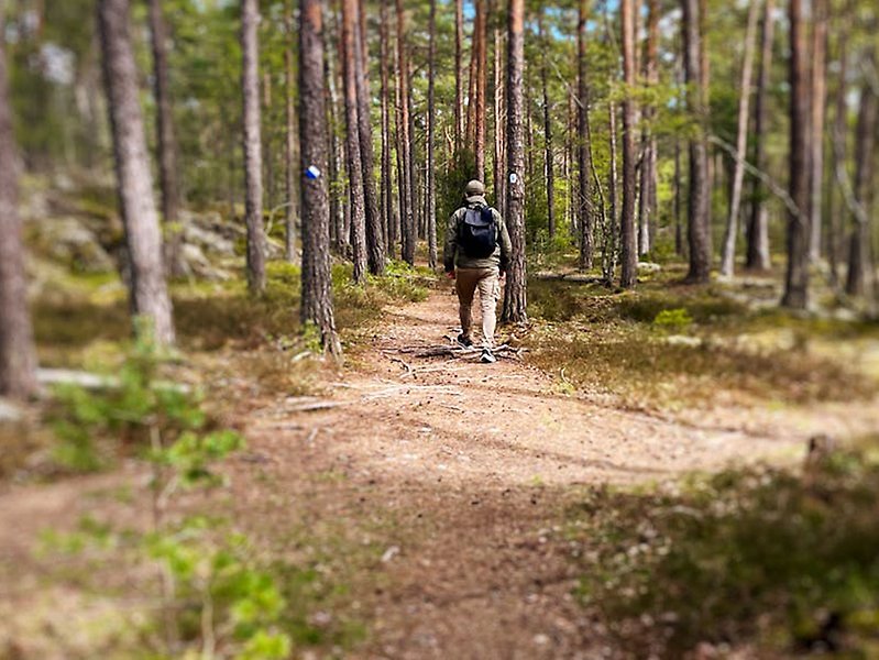 En man går på en stig i skogen