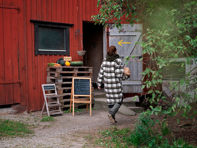 En kvinna är på väg att gå in i en gårdsbutik som ligger i en rödmålad lada. Utanför står en skylt på vilken det står skriven "Butiksregler"