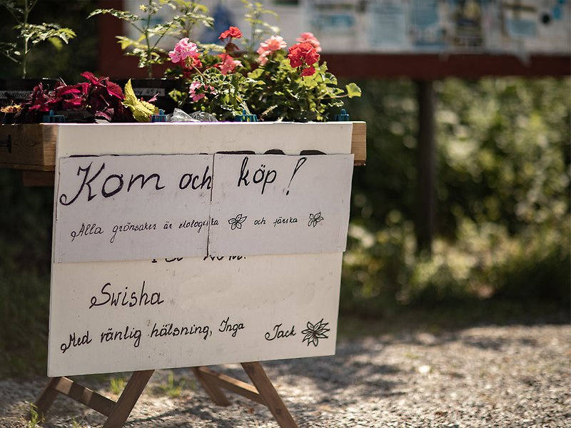 Ett bord med blommor. Framför bordet hänger en skylt där det står "Kom och köp! Alla grönsaker är ekologiska och färska.Swisha."