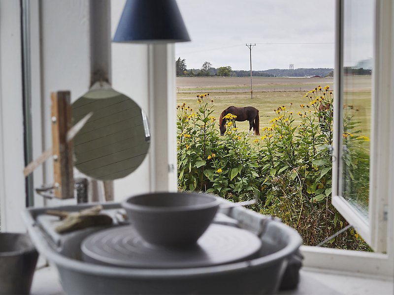 En skål står på en drejskiva. I bakgrunden syns ett öppet fönster och utanför det står en häst och betar