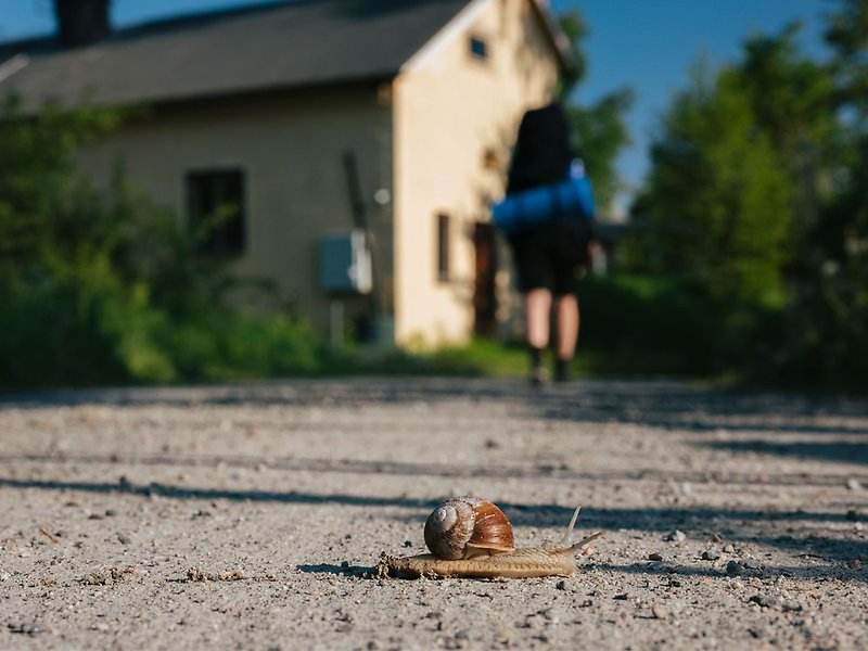 En person går med ryggsäck på en grusväg. Ett hus syns i bakgrunden. I förgrund syns en snigel.
