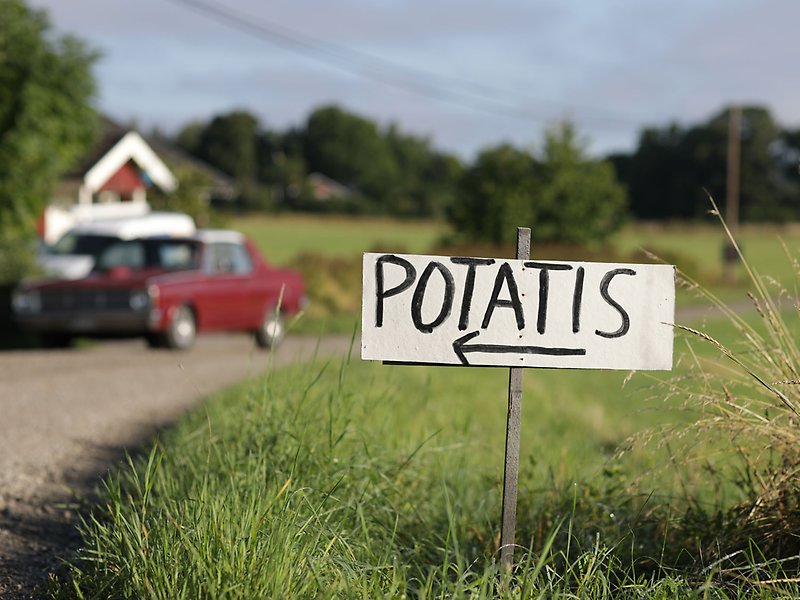 En handskriven skylt där det står Potatis och en pil mot vänster. En röd gammal bil syns i bakgrunden.