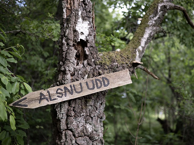 En träpil där det står Alsnuudd