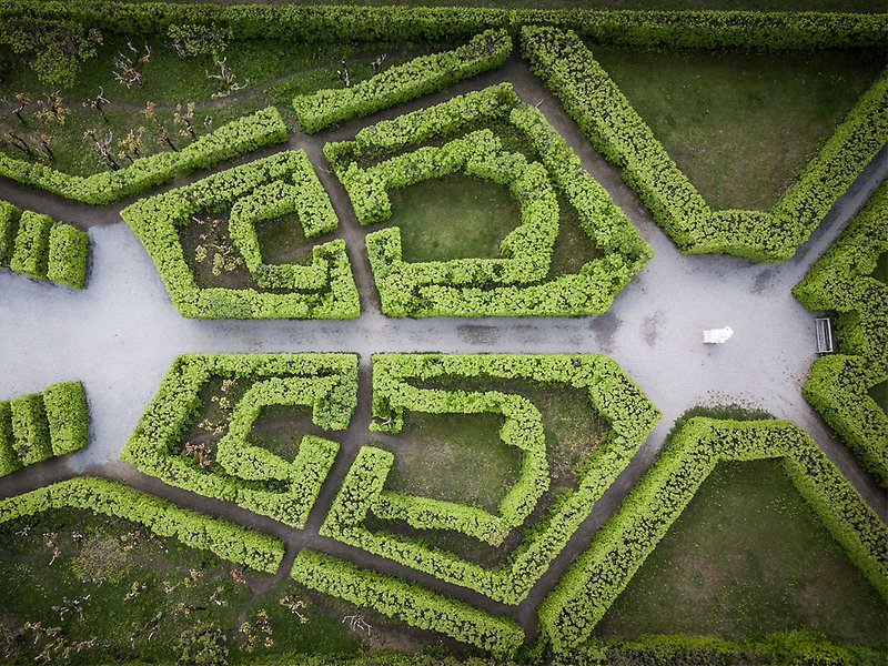 En labyrint av buskar fotad ovanifrån