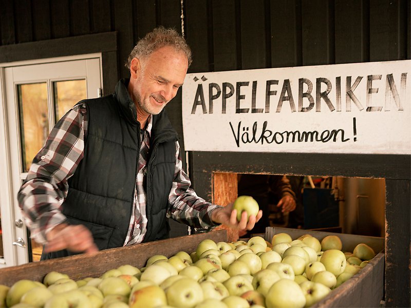 Lars Ångström som äger Äppelfabriken står vid en stor låda med äpplen. I bakgrunden syns en skylt som säger: Äppelfabriken Välkommen.