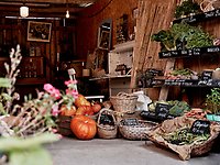Rosenhills gårdsbutik är en lada. Efter väggarna syns hyllor med grönsaker, bland annat morötter, rödbetor, broccoli och sallat. På golvet står korgar med potatis, bönor och pumpor.